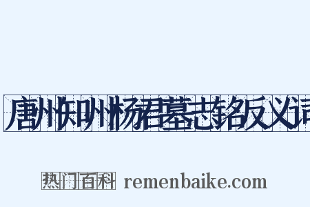 唐州知州杨君墓志铭反义词是什么意思的图片